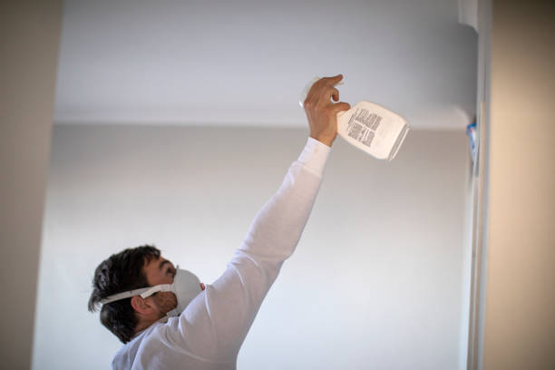 Best Same-Day Mold Removal  in Ruleville, MS