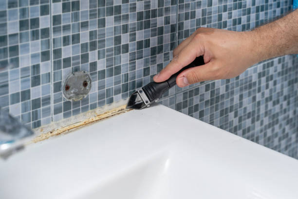 Best Professional Mold Removal  in Ruleville, MS